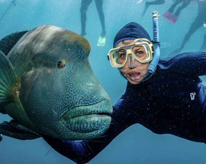 Cairns, Great Barrier Reef