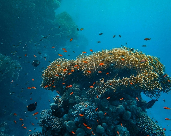 Cairns, Great Barrier Reef