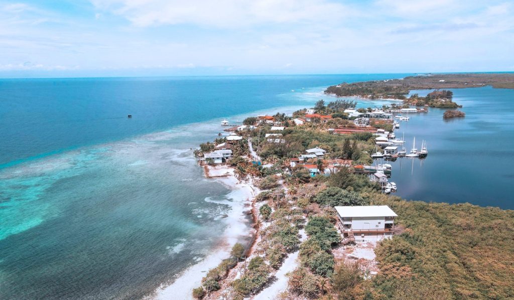 Spots in Utila