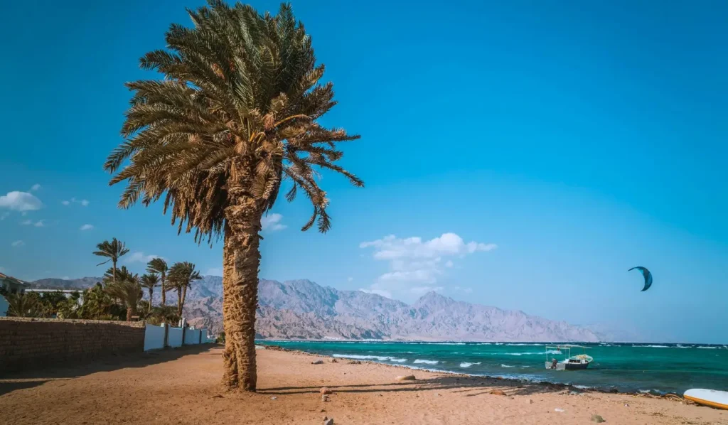 Spots in Dahab