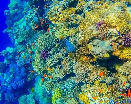 Dahab
